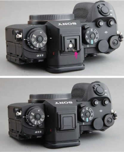 (寄賣) SONY A9 三代 A9m3 #325xx：圖片 6